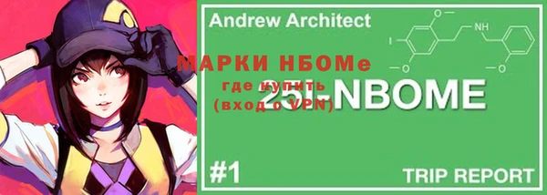крисы Новозыбков