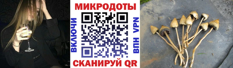 Псилоцибиновые грибы мицелий  купить   Багратионовск 